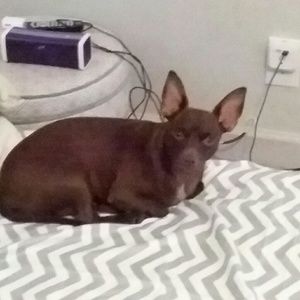 Meet your Posher, Heather